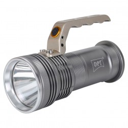 DPT, LED Flashlight for Camping, Handheld Flashlight, Silver, 10 Watt