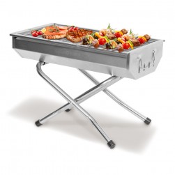 ALSANIDI, Charcoal grill for trips, Portable Charcoal Grill, Silver, Size 46.5*26.5*31 Cm