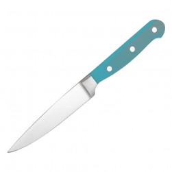 ALSANIDI, Butcher Stainless steel knife, Kitchen knife, Turquoise, Size 4 inch