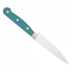 ALSANIDI, Butcher Stainless steel knife, Kitchen knife, Turquoise, Size 4 inch