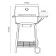 ALSANIDI, Charcoal grill for trips, Black, Size 52* 38.5* 103 Cm
