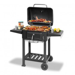 ALSANIDI, Charcoal grill for trips, Black, Size112*63*111.5 Cm