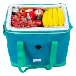 DPT, Heat and cold insulated keeping bag for food and drinks, Food bag for Trips, Green, capacity 30 L Size 41*26*43.5 Cm