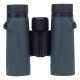 DPT, Telescope, Binoculars, Green, Size 10 *25