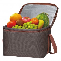 ALSANIDI, Heat and cold insulated keeping bag for food and drinks, Food bag for Trips, Brown*Sandy, Size 40*30.5*30Cm