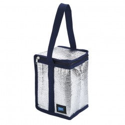 DPT, Heat and cold insulated keeping bag for food and drinks, Food bag for Trips, Silver, Size 13*15*21Cm